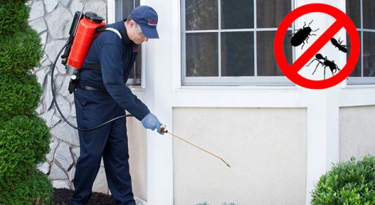 Karacabey Böcek ve Haşere İlaçlama böcek ilaçlama ve haşere kontrolü — ilaclama-tr.com